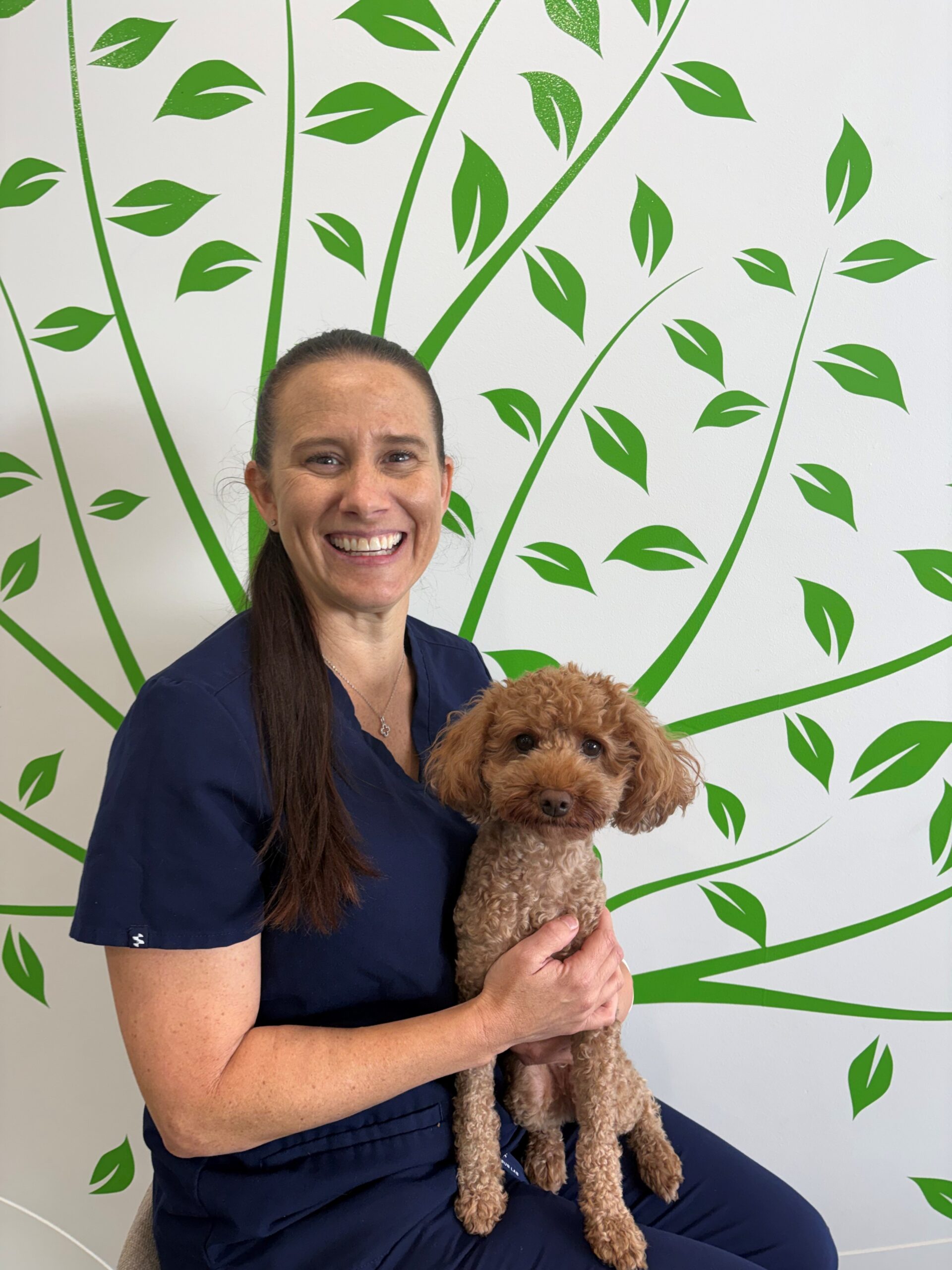 Everybody Smile Clinic Staff Dr Emma Jay The Special Needs Dentistry Practice